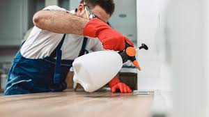 Best Real Estate Pest Inspections  in Augusta, WI